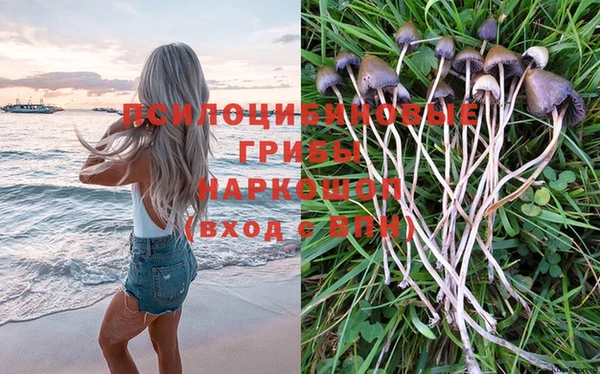 стафф Аркадак